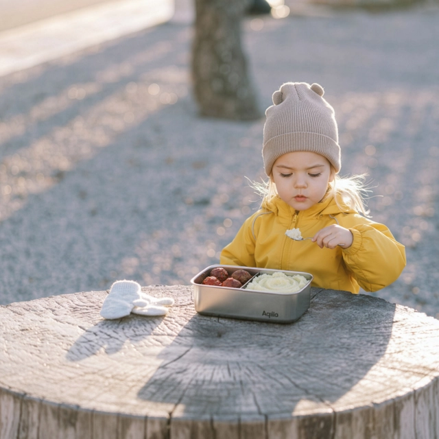 Aqiila Foodbird LB5 Rechargable, lunch box 