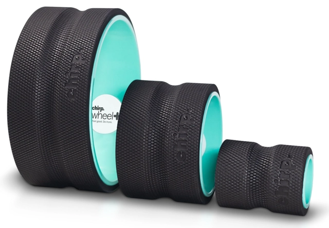 Chirp Wheel 3-pack 4", 6"and 10" 